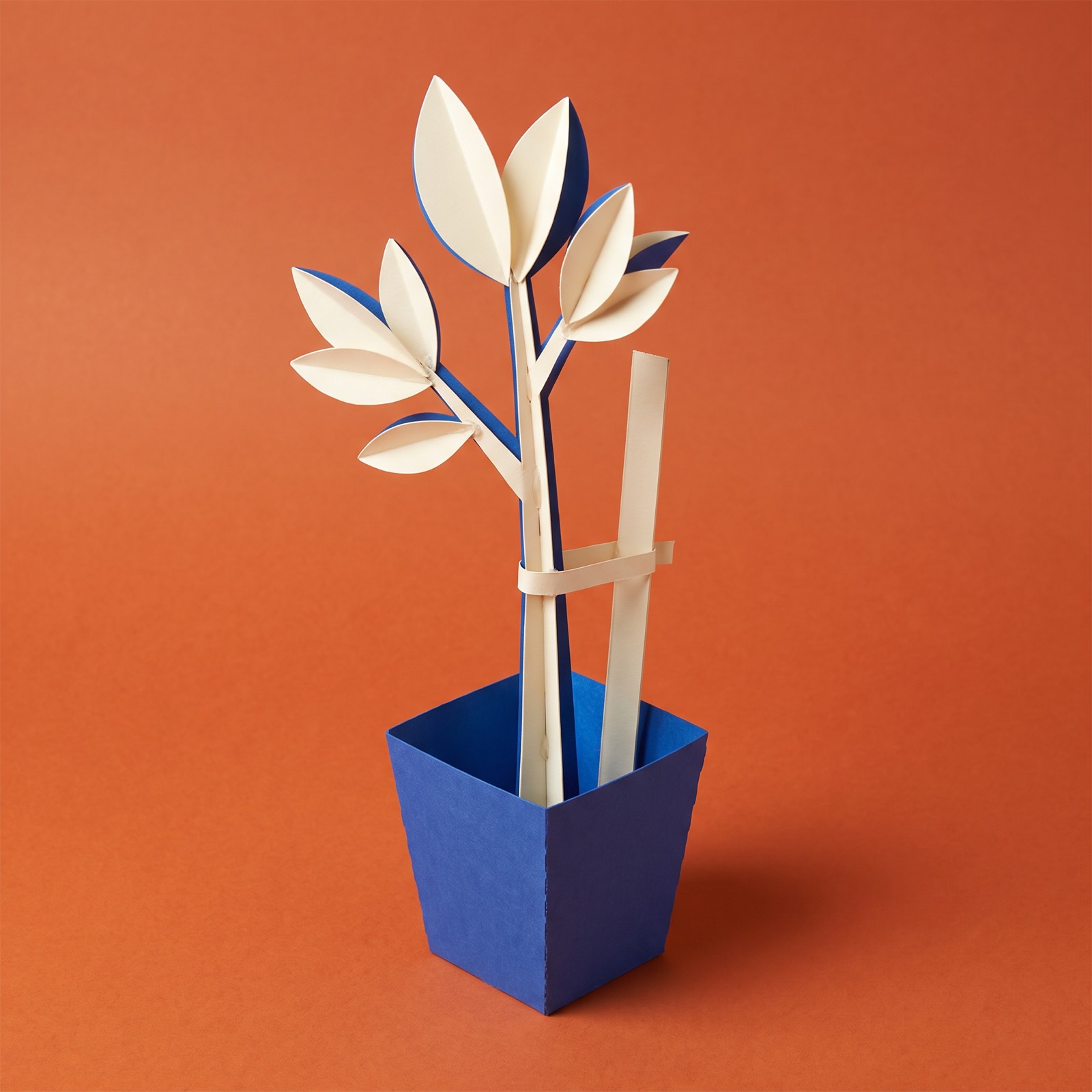 Paper sculpture of a young tree in a pot, tied to a support stake